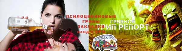 не бодяженный Алексин