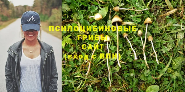 герыч Алексеевка