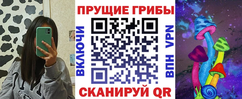 kraken маркетплейс  цена наркотик  Павловская  Псилоцибиновые грибы Magic Shrooms 